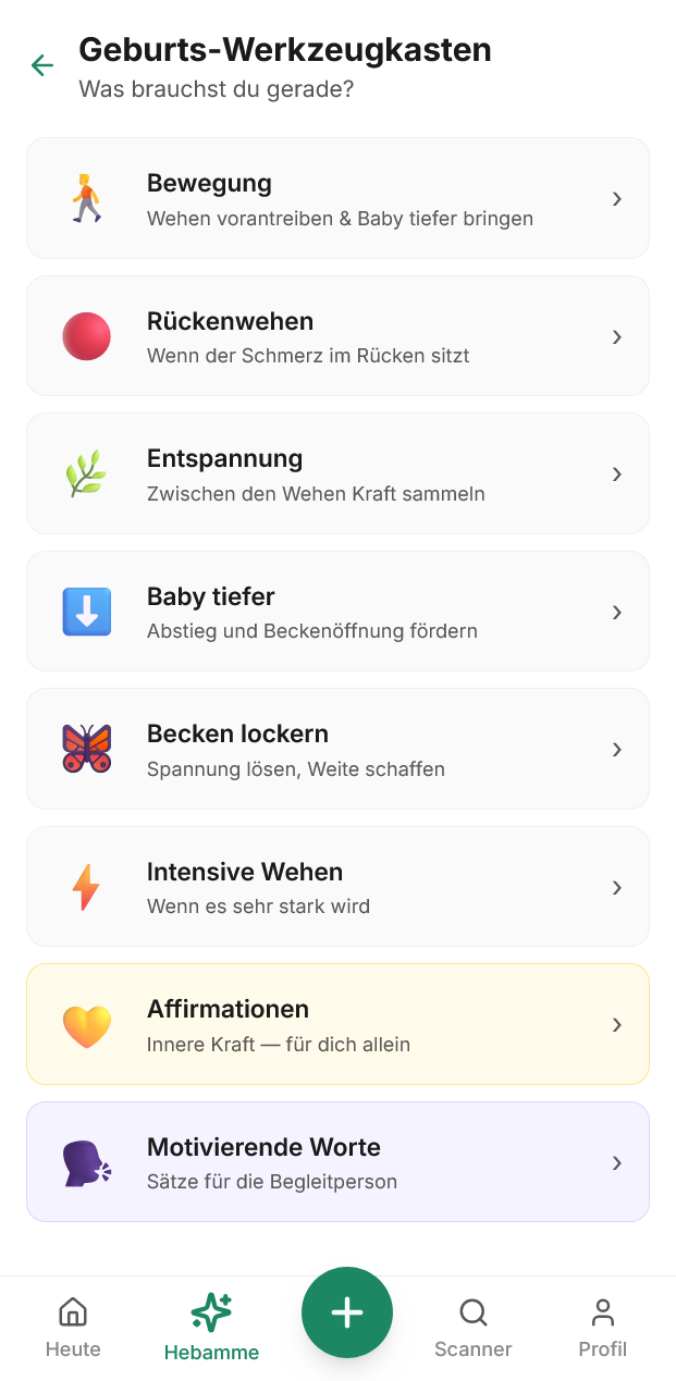 Geburts-Werkzeugkasten in MamaNutrition